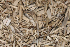 biomass boilers Trewen